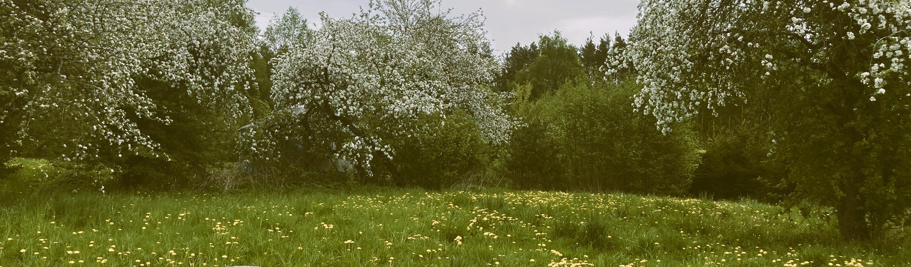 Pavasaris sodyboje BARAKA